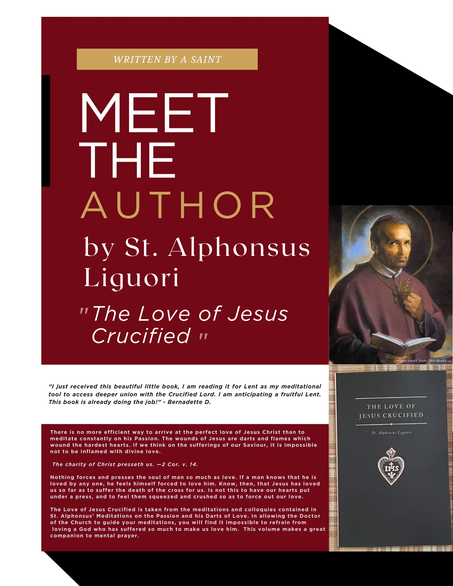 Meet The Author .webp